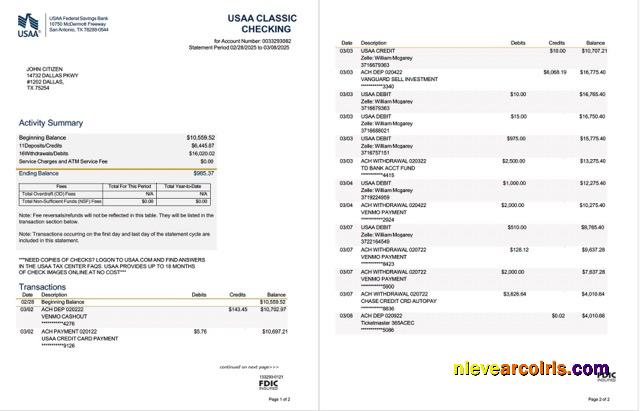 USAA Federal Savings Bank statement Word and PDF, 2 pages